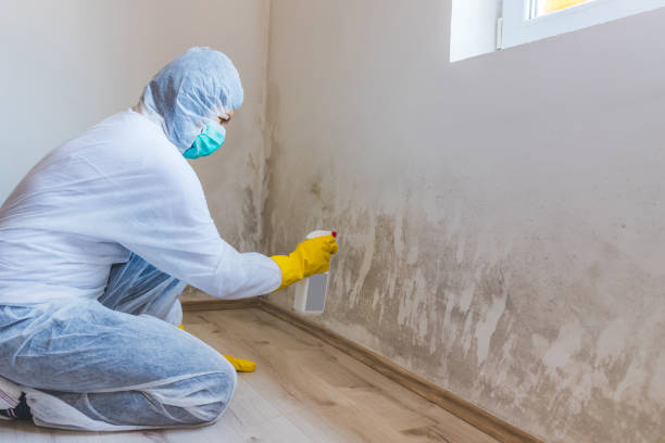 Mold Remediation specialist working in Rolesville