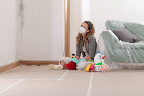 Mold Removal service in Rolesville